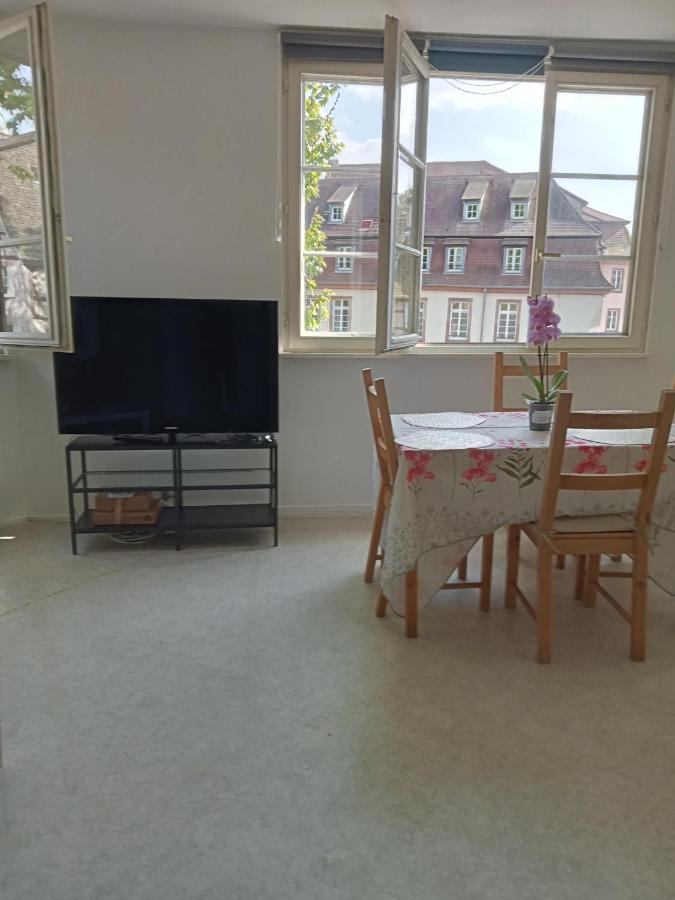 Au Coeur De La Petite France Apartment Strasbourg Luaran gambar