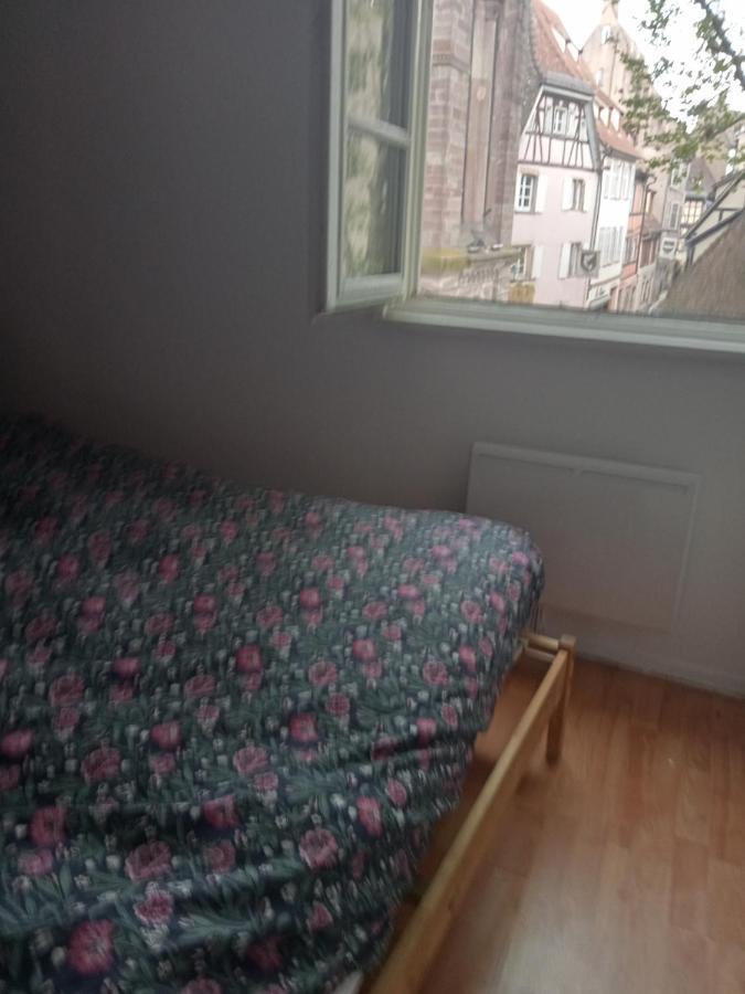 Au Coeur De La Petite France Apartment Strasbourg Luaran gambar