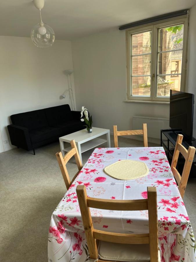 Au Coeur De La Petite France Apartment Strasbourg Luaran gambar